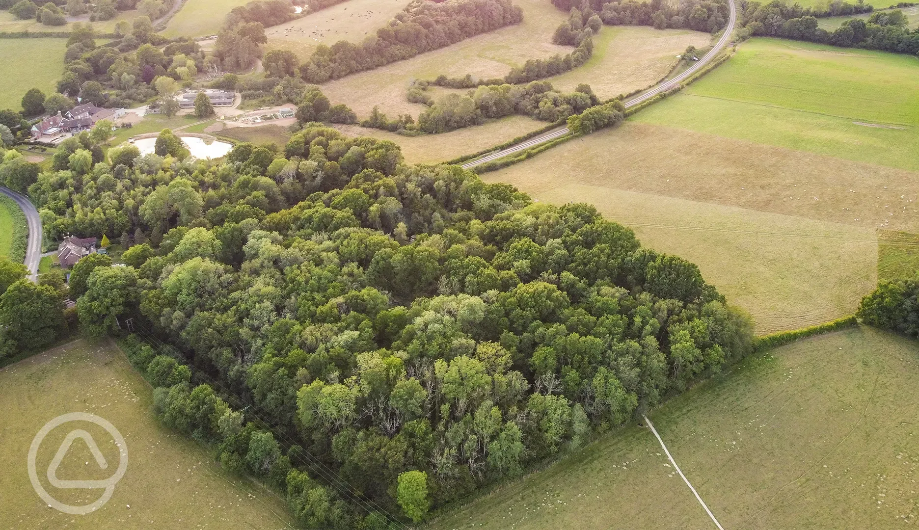An aerial view over Wild Boar Wood