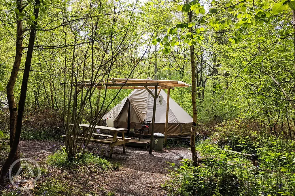 Bell tent in the woods
