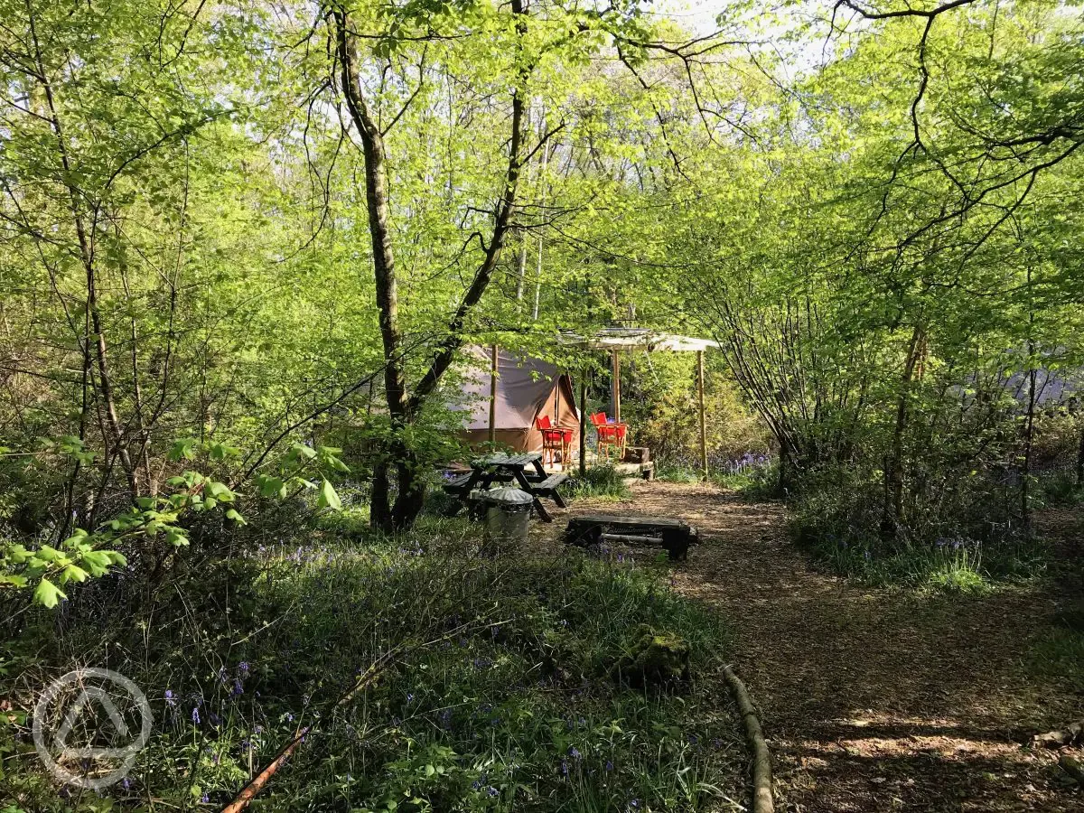 Wild glamping bell tent