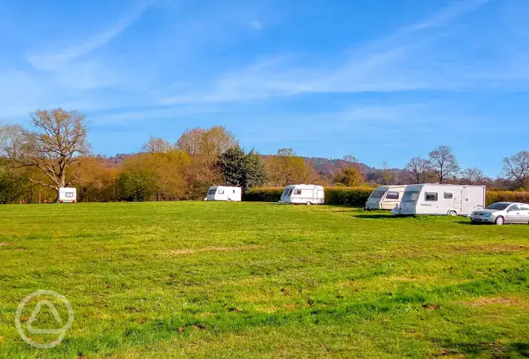 Grass pitches