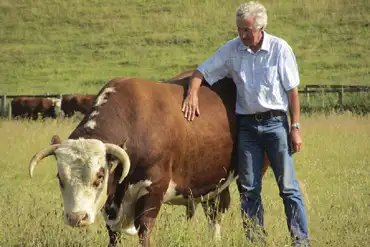 Farmer with cattle