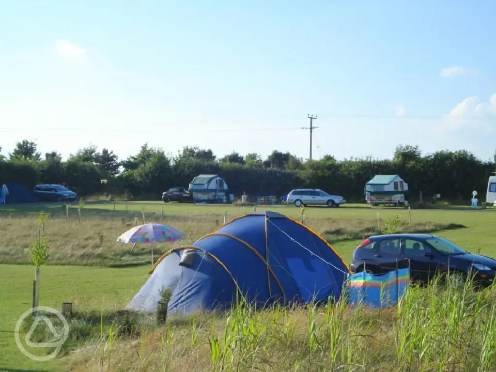 Tents at Field Barn Park