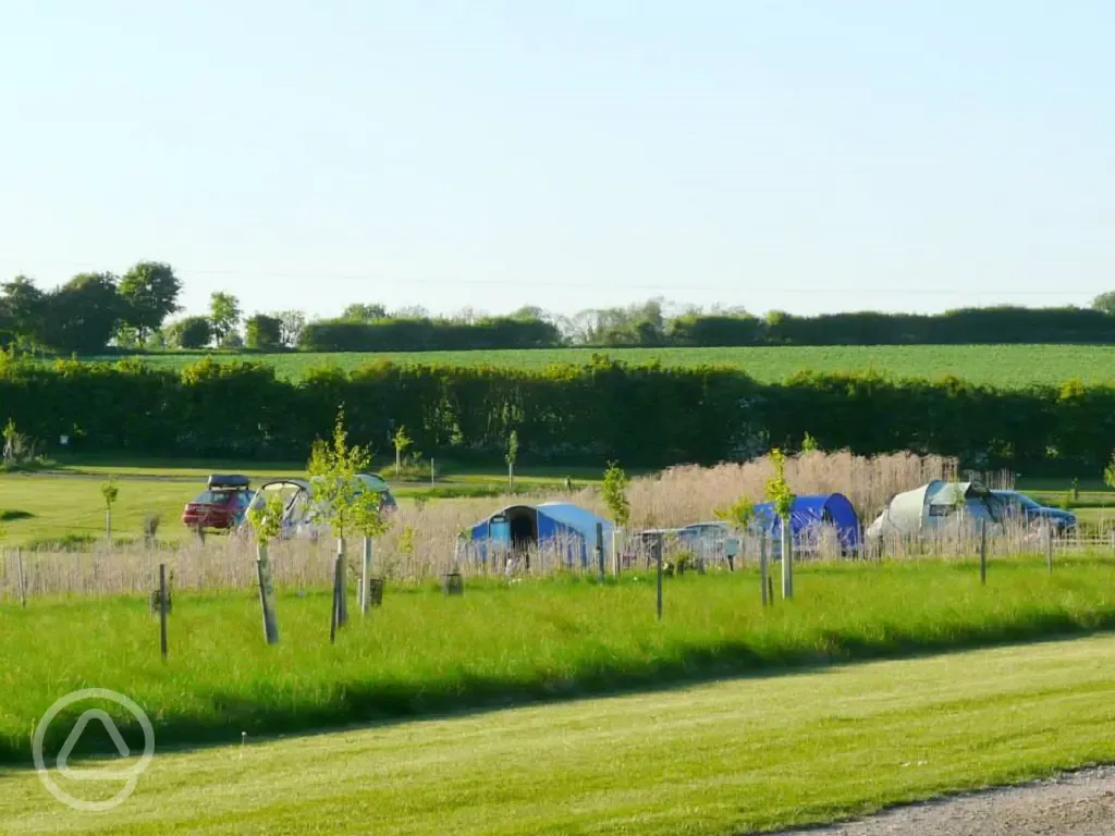 Tent camping at Field Barn Park