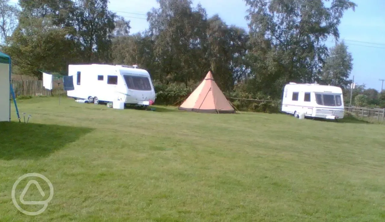 Touring pitches at Forest View