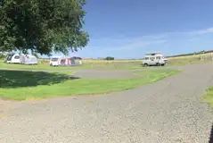 Grass and hardstanding electric pitches for a maximum of six people