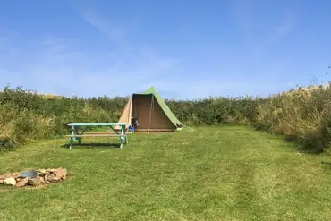 Grass pitches with optional electric, picnic benches and fire pits