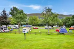 Electric grass pitches