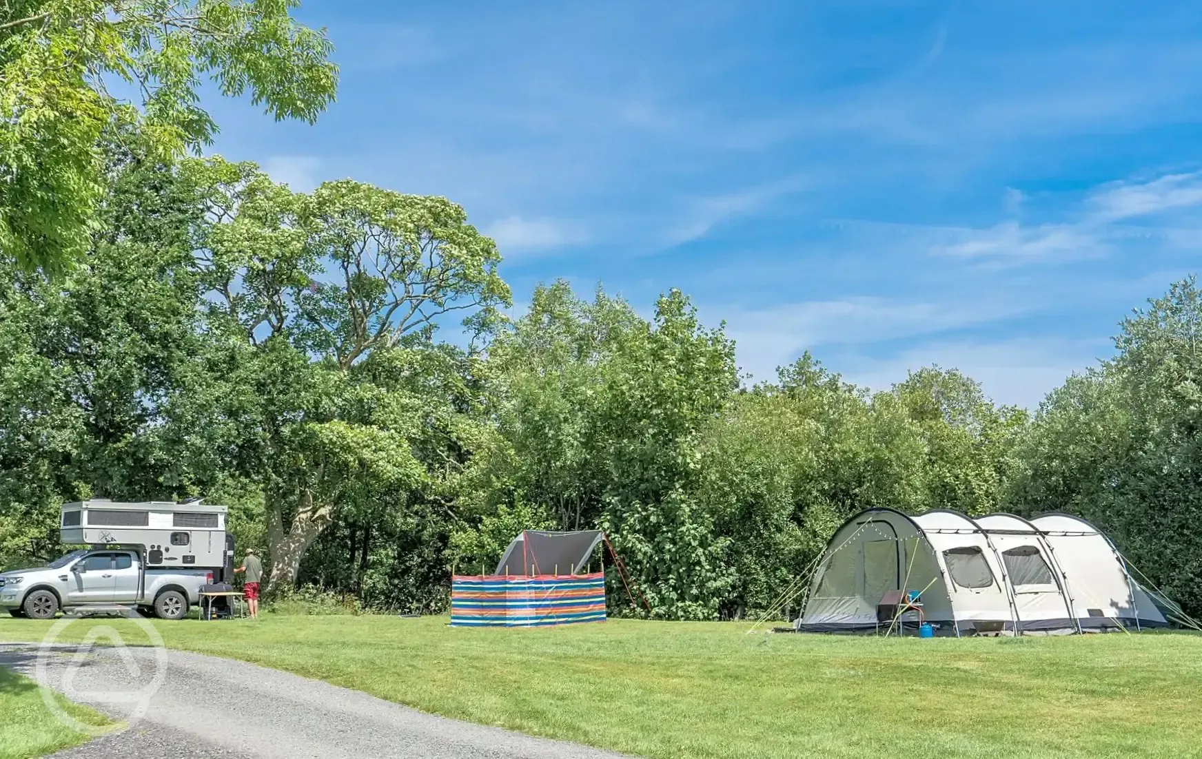 Electric grass pitches