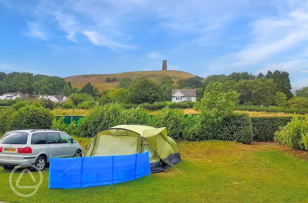 Non electric grass tent pitches with views of the Glastonbury Tor