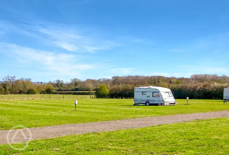 Grass pitches