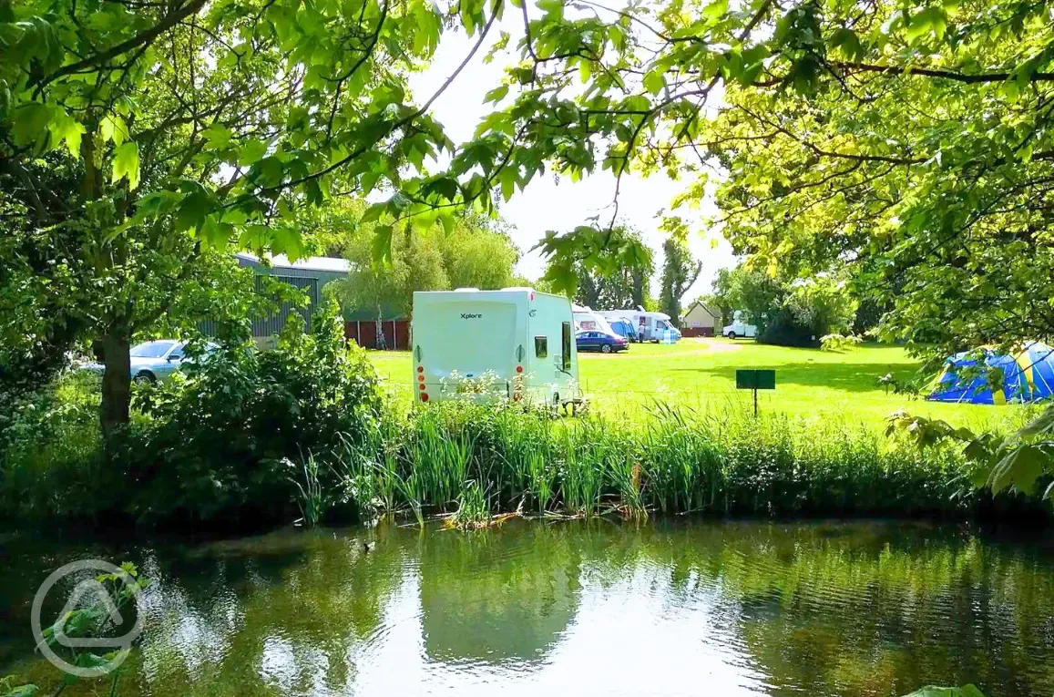 Grass pitches by the pond