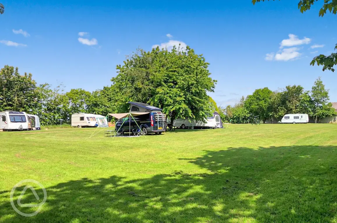 Grass pitches