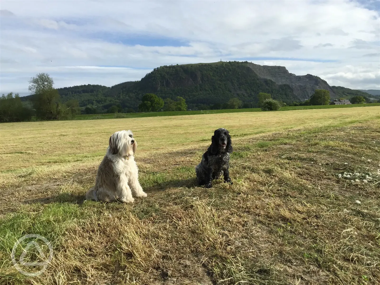 Lovely walk along the River Severn with Criggion behind