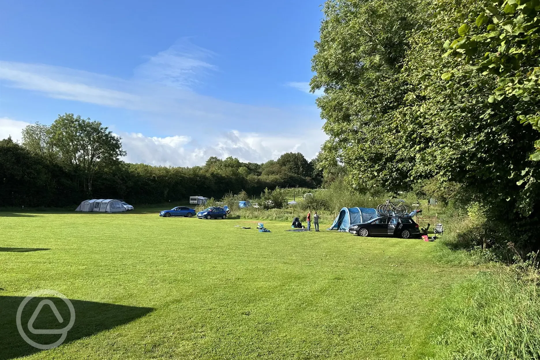 Grass pitches