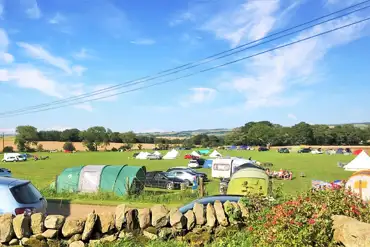 Grass pitches