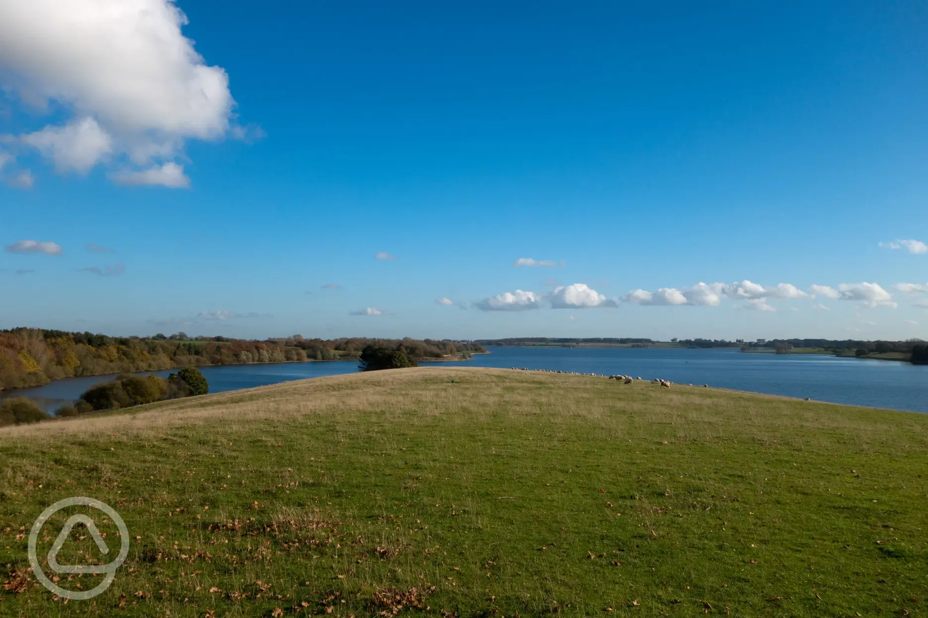 Rutland Water from Barnsdale Wood. 