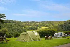 Electric grass pitches