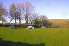 Non electric grass tent pitches 