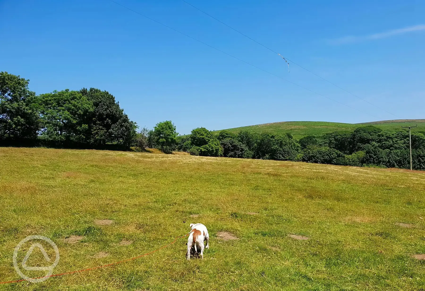 Non electric grass tent pitches 