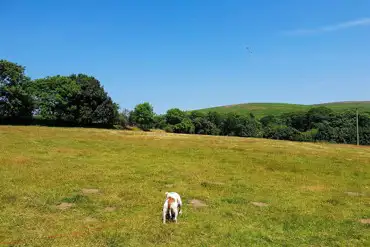 Non electric grass tent pitches 