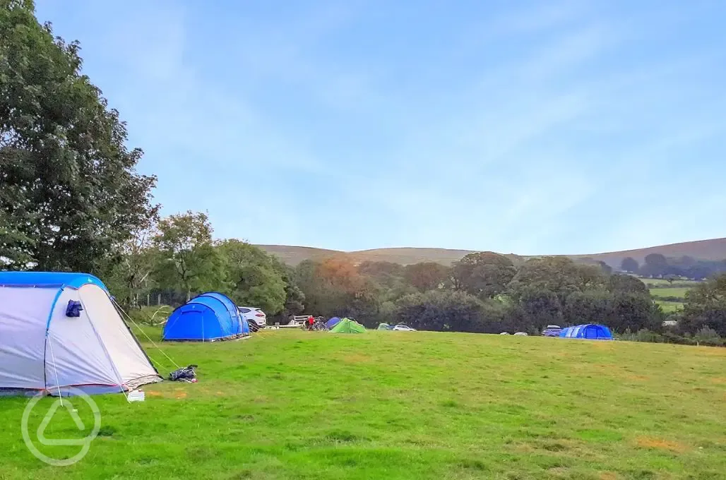 Non electric grass tent pitches 
