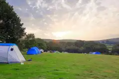 Non electric grass tent pitches 