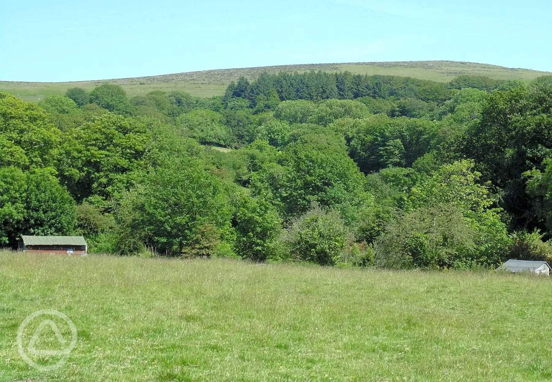 Non electric grass tent pitches 