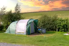 Electric grass camping pitches with 10 amp hook ups