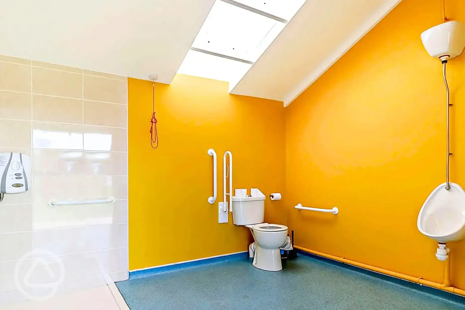 Accessible wet room with grab rails