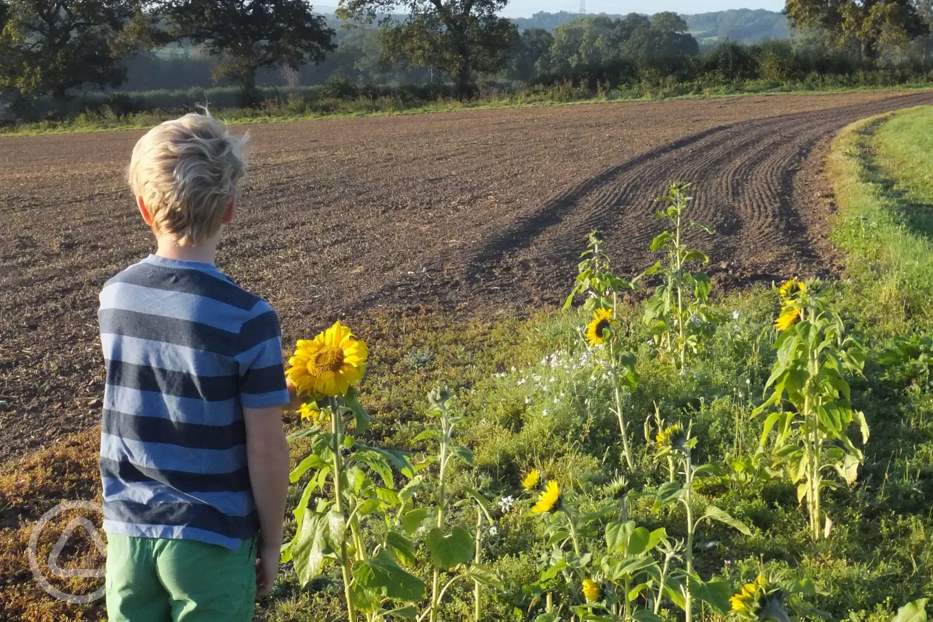 Countryside walks