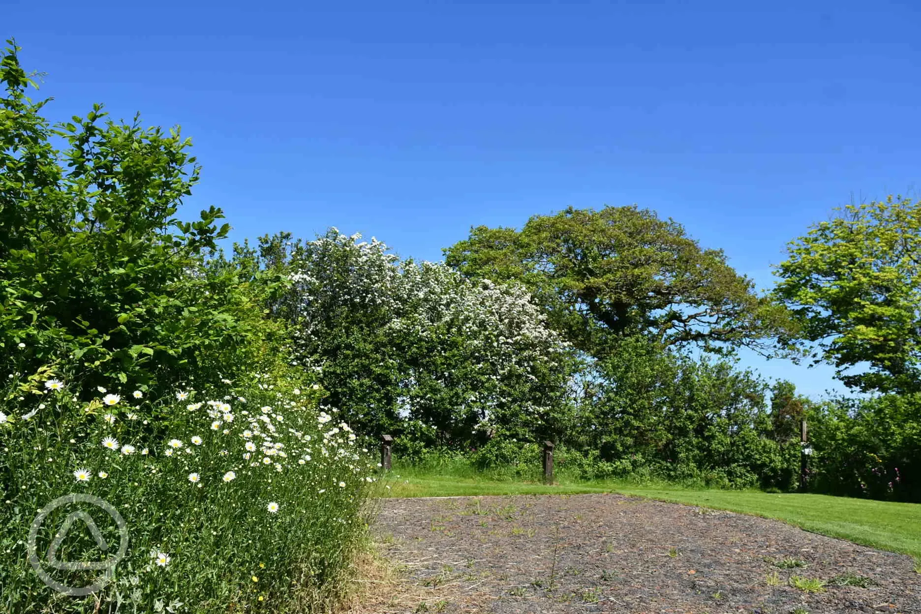 Fully serviced hardstanding and grass touring pitches