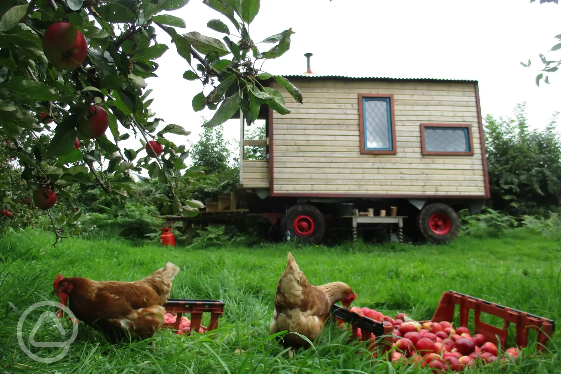 Orchard wagon