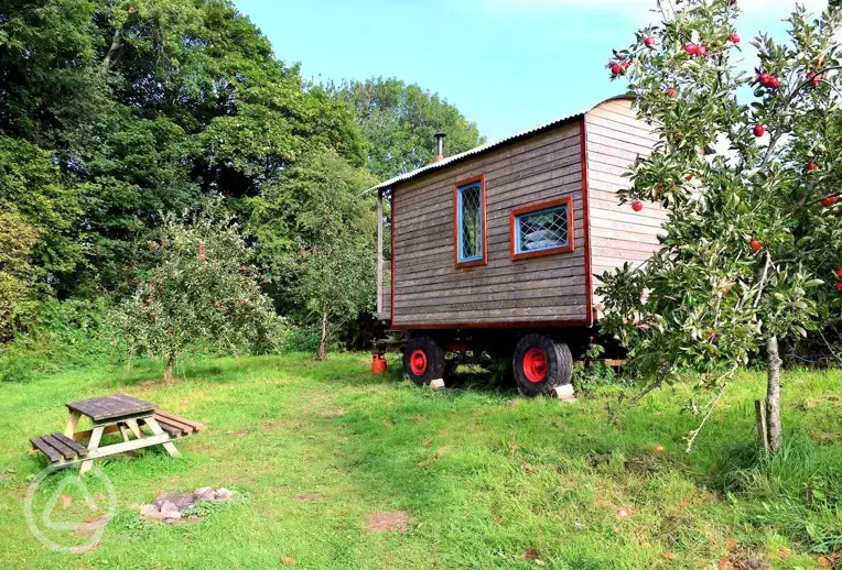 Orchard wagon