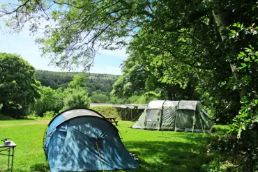 Grass pitches