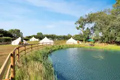 Lotus Belle Tents by the pond