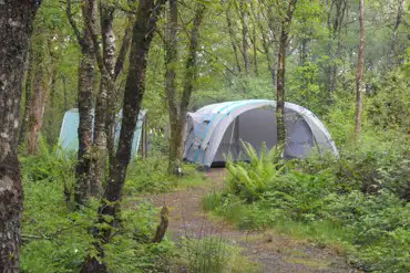 It's a tent in the woods!