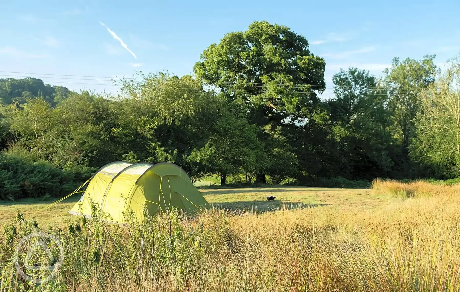 Non electric grass pitches 