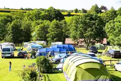 Grass jumbo pitches with option 16 amp electric (10m x 10m) Grass jumbo pitches with option 16 amp electric (10m x 10m)