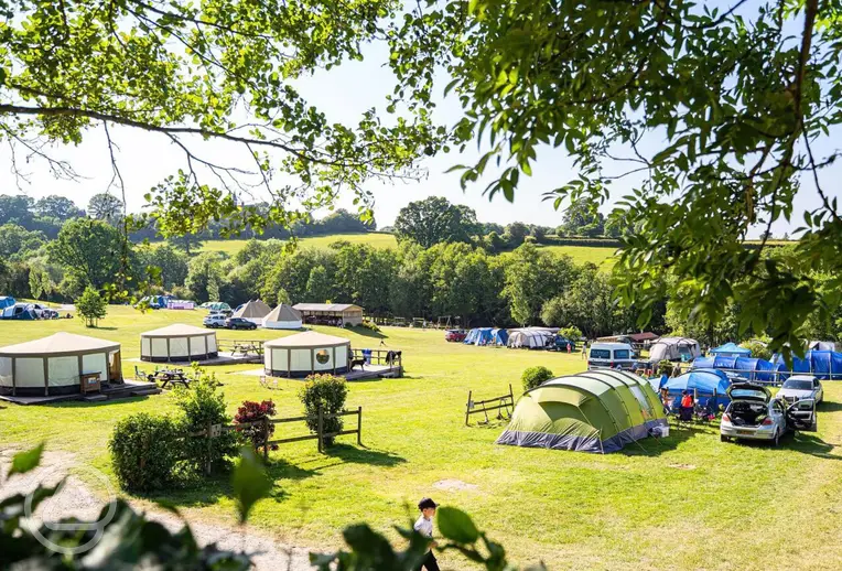 Overview of the camping and glamping field at Hopley's Family Camping