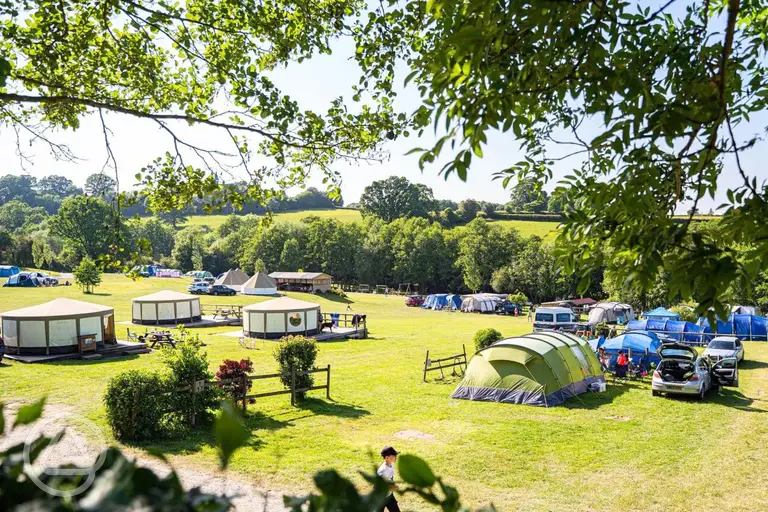 Overview of the camping and glamping field at Hopley's Family Camping
