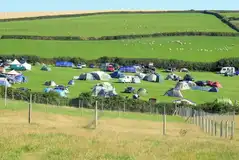 Grass pitches