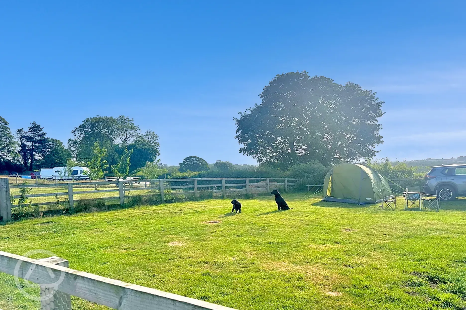Enclosed, secure dog friendly pitch with water