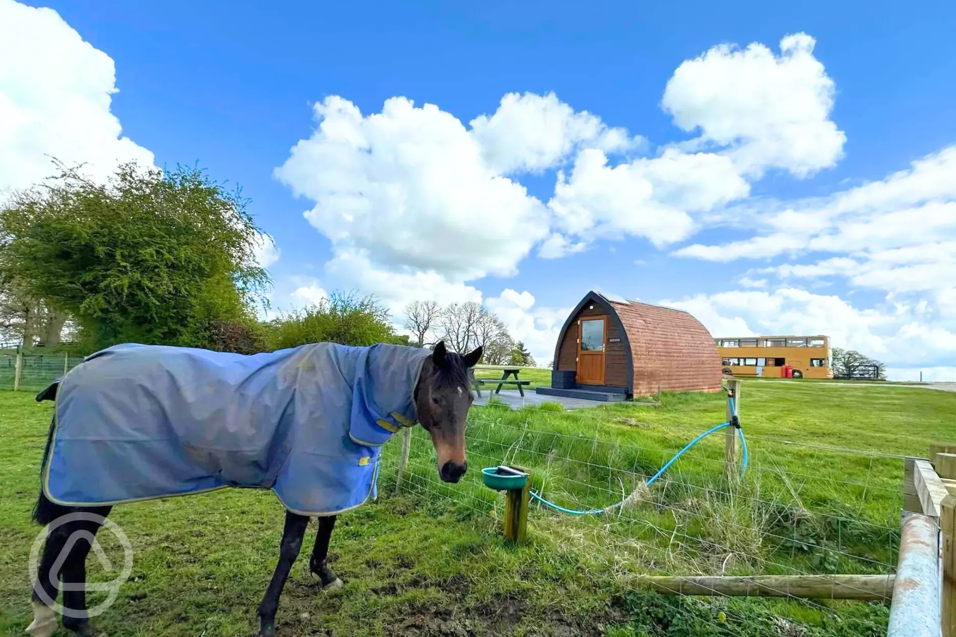 Paddocks available for horses