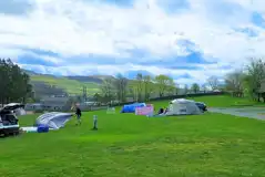 Grass pitches