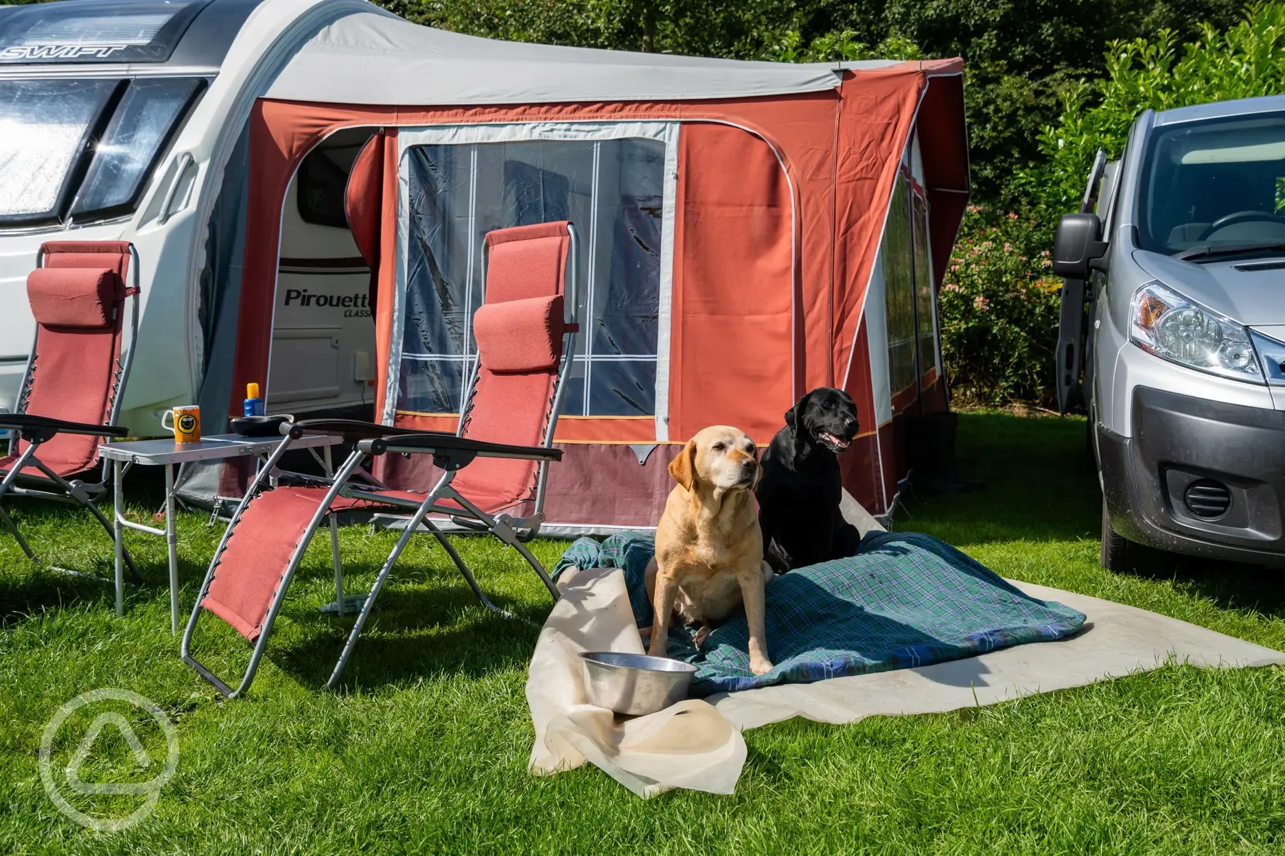 Dog friendly pitches