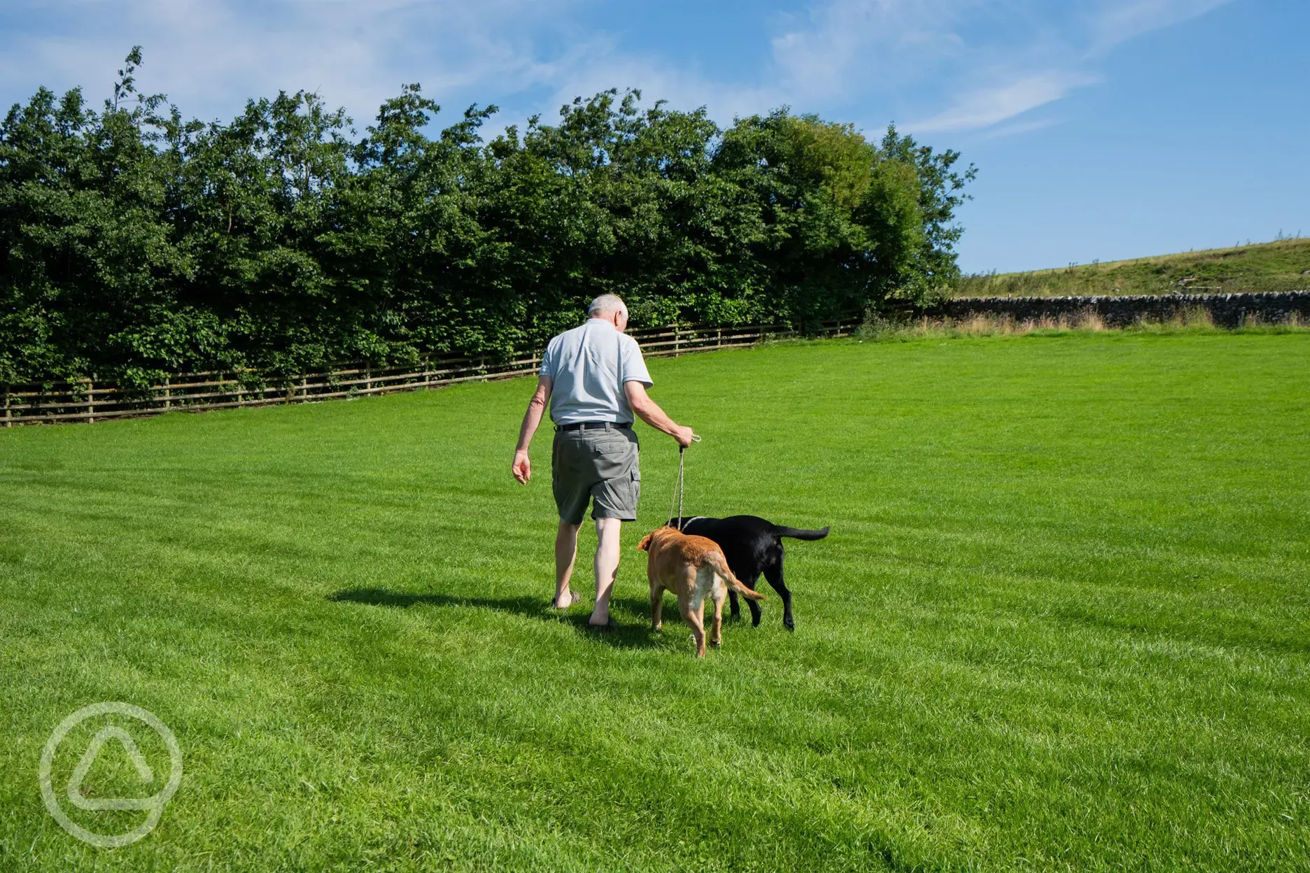 Dog friendly site with direct access to dog walks from Knotlow Farm