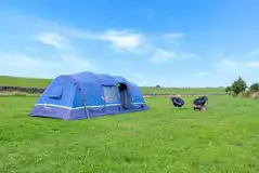 Non electric grass tent pitches (adult only) surrounded by fields Non electric grass tent pitches (adult only) surrounded by fields