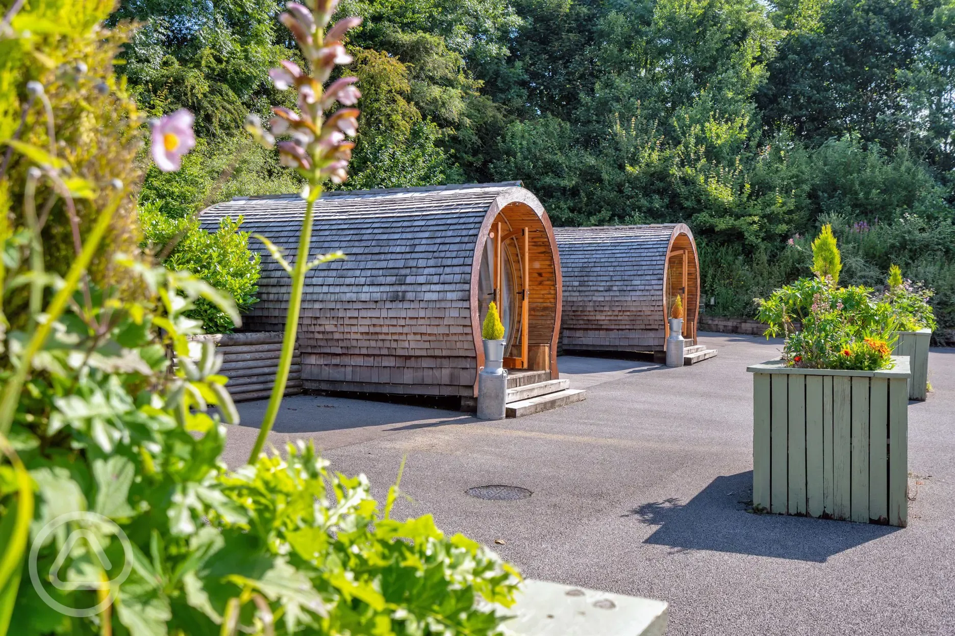 Glamping pods (adult only)