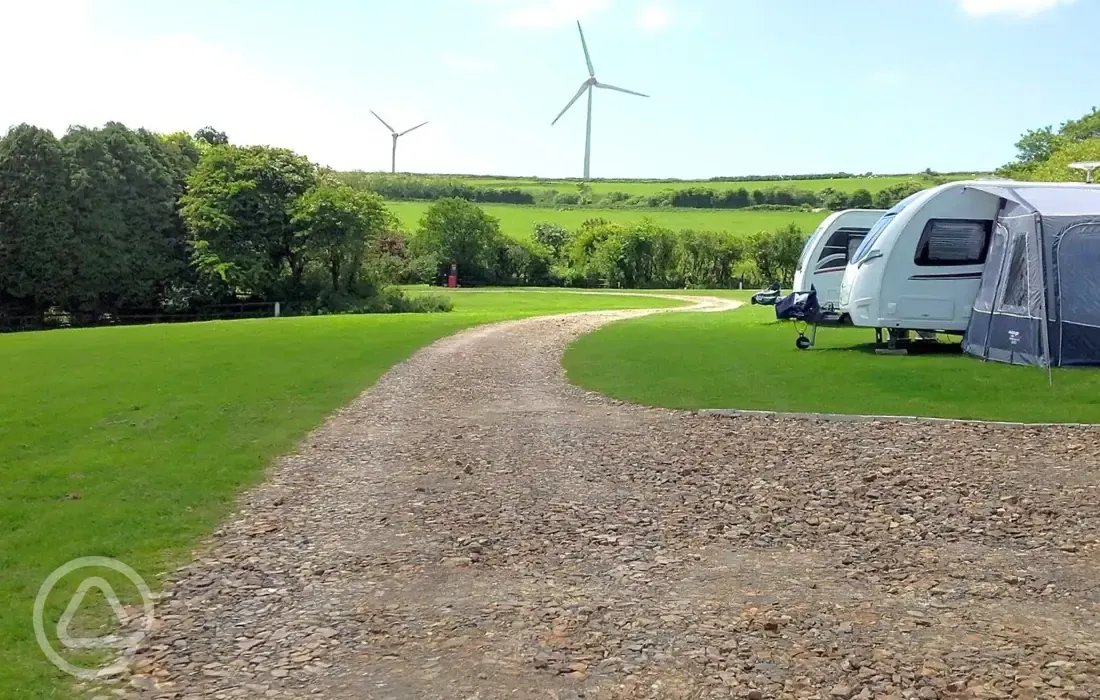 Electric grass pitches