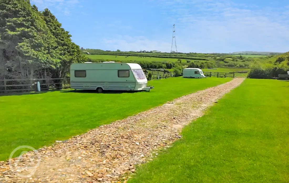 Electric grass pitches